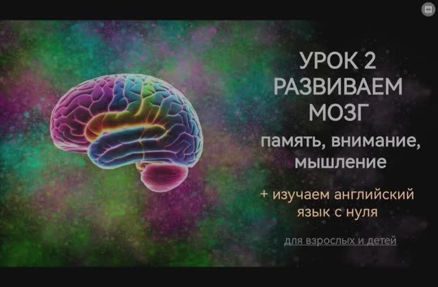Развиваем мозг. Урок 2 смотреть онлайн