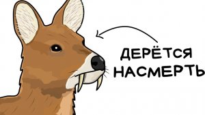 Водяной олень (и это вся твоя жизнь)