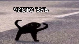Чисто ъуъ