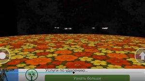 тестю новую игру в кальмара очень крутая