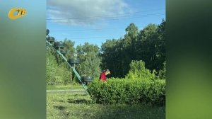ЖЕЛЕЗНОГОРЦЫ ЗАФИКСИРОВАЛИ ВОРОВСТВО ЦВЕТОВ С ОБУСТРОЕННЫХ КЛУМБ В РАЙОНЕ УЛИЦЫ ГАГАРИНА