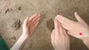1000013704.mp4