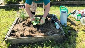 1 июня Моя дача, посадила тыкву, сорвала первые огурцы.🥒🥒🥒