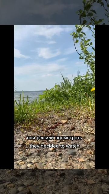 Copy_5BD6816A-EAB9-43C4-9E7E-7CF87F0FC6FE