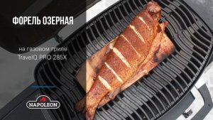 Форель озёрная, копчёная на кедровой доске на газовом гриле Napoleon TravelQ PRO 285X