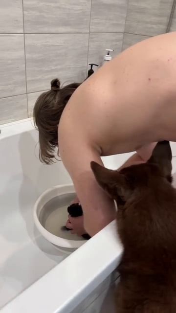 Собака стала мамой котятам