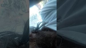 1000028362.mp4