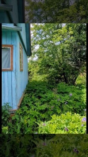 СНТ Онколог Шатура