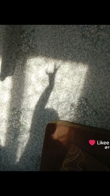 1000016051.mp4