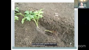 ОНЛАЙН САДОВОДСТВО  С ЕВГЕНИЕЙ ЧЕРНЫШОВОЙ  1.6 16:00
