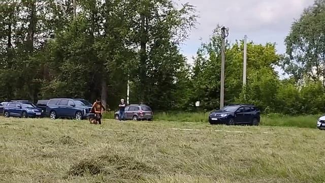 1 Отл. КЧК Alingrand Fors ELEJN +++ №34. ЛИПЕЦК 31 мая`26 Моно немецких овчарок