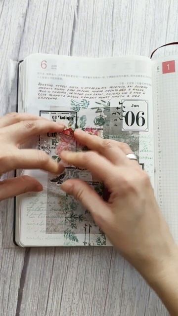 Лето к нам приходит...🌿 смотреть онлайн