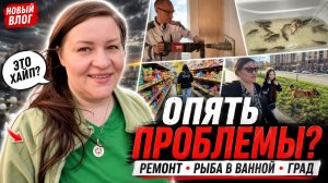 Комментарий и я НЕ выдержала… Подробности ЧП с Артёмом Это хайп или проблемные люди?