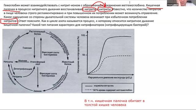 Биосфера. 10 класс 26 смотреть онлайн