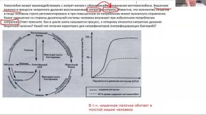 Биосфера. 10 класс 26