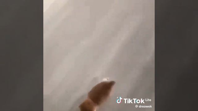 милота🩷 смотреть онлайн