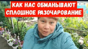 270🏡Как нас обманывают/Пришлось сделать рокировку/Как я выращиваю огурцы/Делаю заготовки