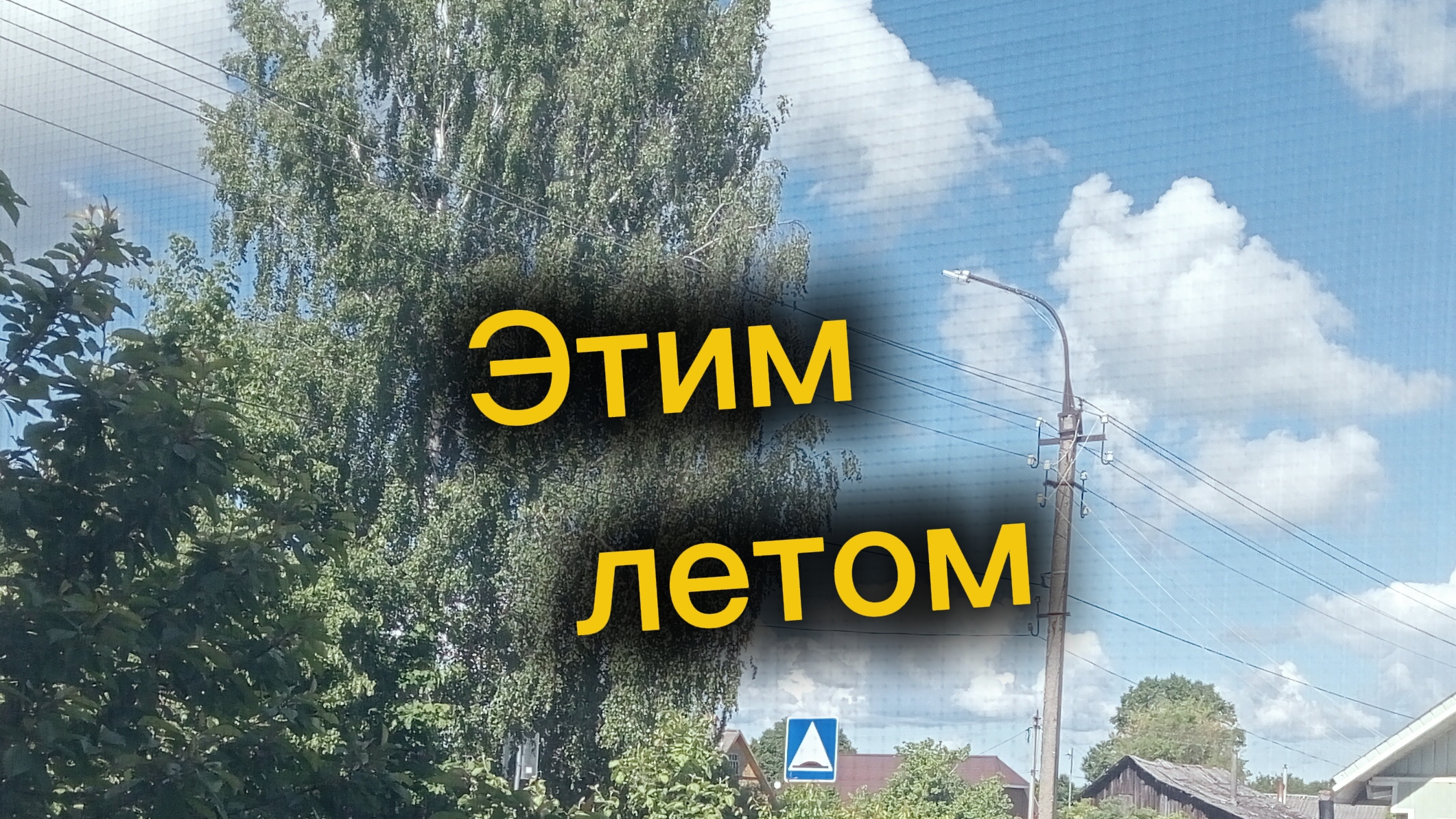 Этим летом
