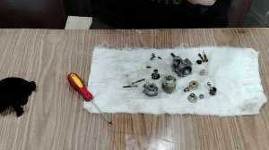 №27- Промыл двигатель Ритм 2,5 см3 после обкатки.
