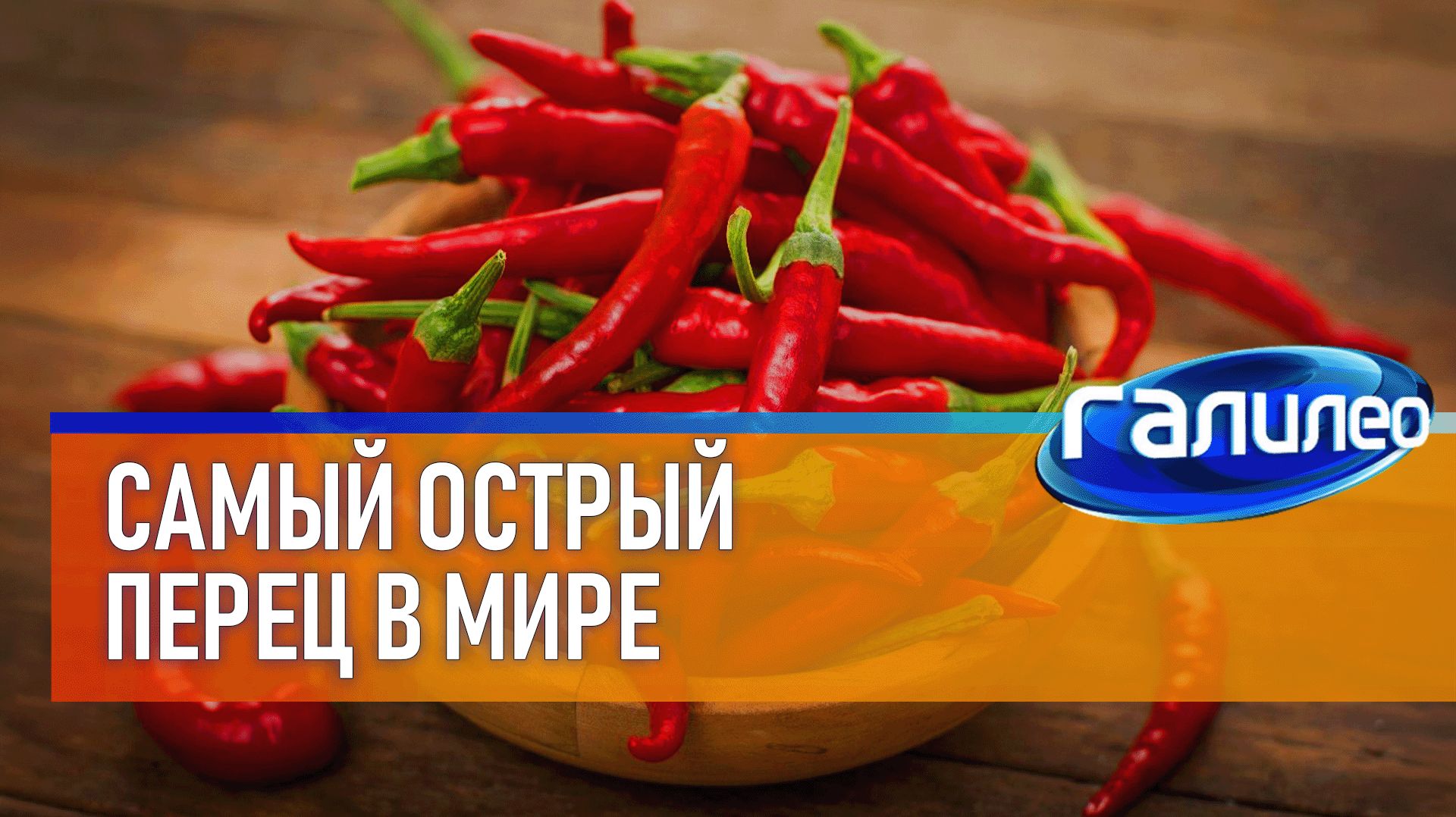 Галилео 🌶 Самый острый перец в мире