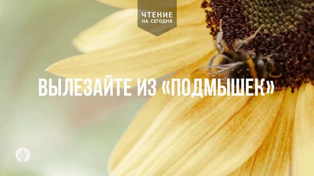 ВЫЛЕЗАЙТЕ ИЗ «ПОДМЫШЕК»  | АУДИО |	28	  июня 2026