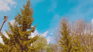 Душе Святый! Всю Вселенную Собою наполняяй…