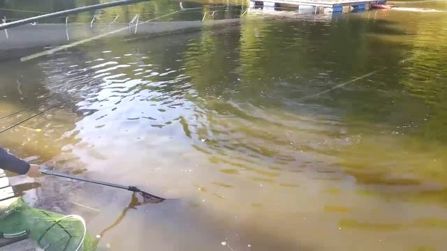 1000087979.mp4 смотреть онлайн