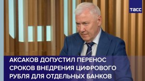 Аксаков допустил перенос сроков внедрения цифрового рубля для отдельных банков
