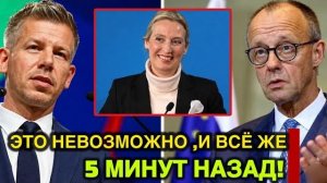 ВОТ И ВСЁ : PETER MAGYAR ГОВОРИТ НЕВЕРОЯТНОЕ ОБ ALICE WEIDEL — МЕРЦ ПОЛНОСТЬЮ ТЕРЯЕТ КОНТРОЛЬ! → 👤