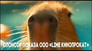 Спонсор Показа «Капипара» (01.06-13.06.2026)