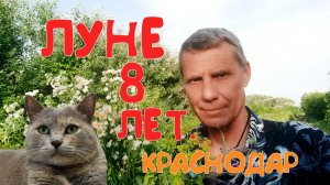 ОТМЕЧАЕМ ДЕНЬ РОЖДЕНИЕ МОЕЙ КОШКИ ЛУНИ🎆🎇.НОВАЯ ПОКУПКА.БЫТОВЫЕ МЕЛОЧИ  НАШЕЙ ЖИЗНИ В ОБЩЕЖИТИИ .😊