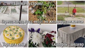 Май нам устроил... Стресс, холод, град, недуг, но жизнь продолжается. Торт для себя. Скатерть-шедевр