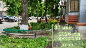 Городской двор 30 мая 2026 год