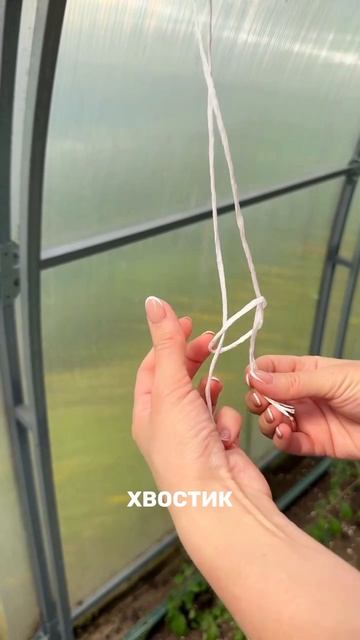КАК БЫСТРО И НАДЁЖНО ПОДВЯЗАТЬ ТОМАТЫ? смотреть онлайн