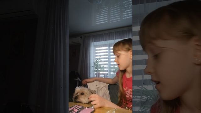 Моя Манечка🤗 смотреть онлайн