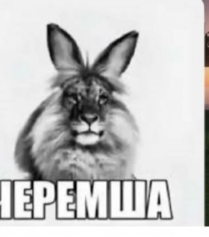 рр