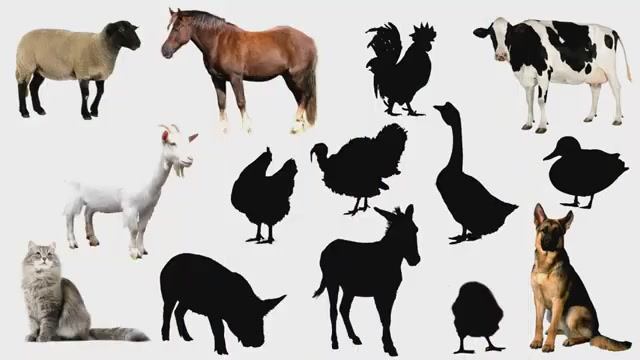 Учим животных по системе Монтессори/Развивающие мультики для детей/Кто живет на ферме