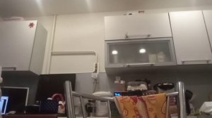 влог укладываем спать реборна!