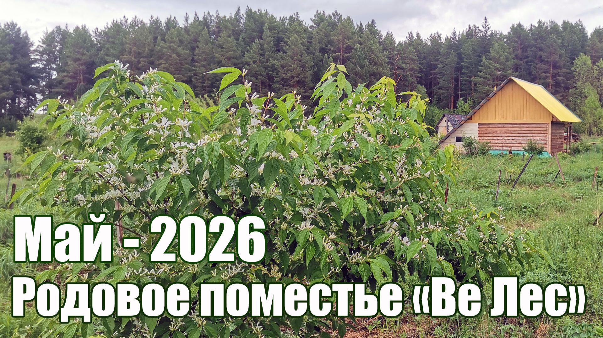 Май 2026 в Родовом поместье ВеЛес на Урале