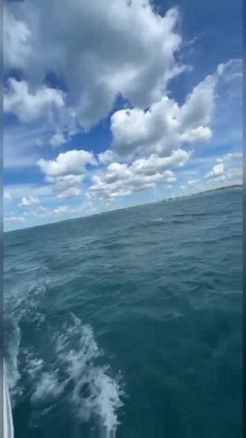 Море✌
