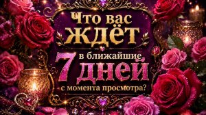 Что вас ждёт в ближайшие 7 дней с момента просмотра? Гадание Tarot Reading