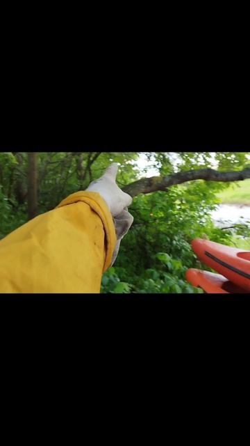 лосячат, конкурс с препятствиями смотреть онлайн