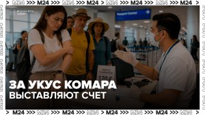 Россиян в Анталье начали отправлять на платные медосмотры из-за укусов комаров - Москва 24