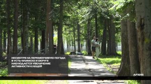 Количество укусов клещей продолжает расти 29-05-2026
