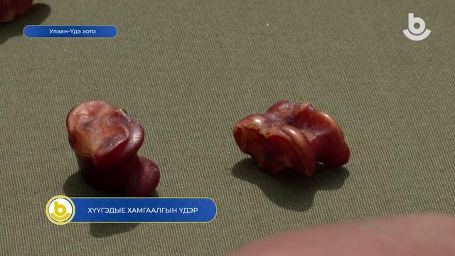 Хүүгэдые хамгаалгын үдэр