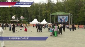 Акцию «Гуси в парке» провели у входа в парк «Швейцария» в Нижнем Новгороде