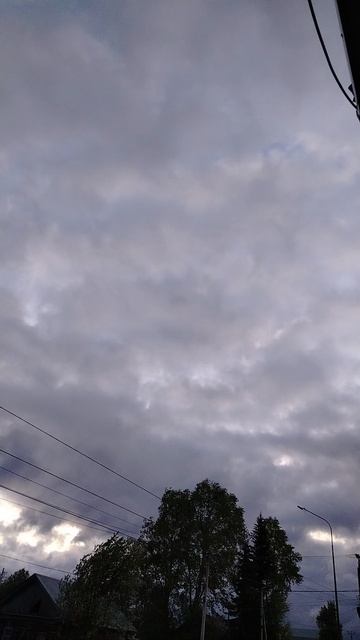 02.06.2026 г. ШУМ ВЕТРА
