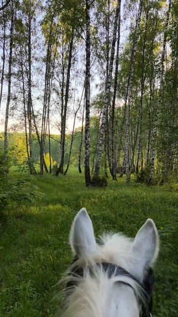 Моменты весны.
Красота на наших маршрутах.