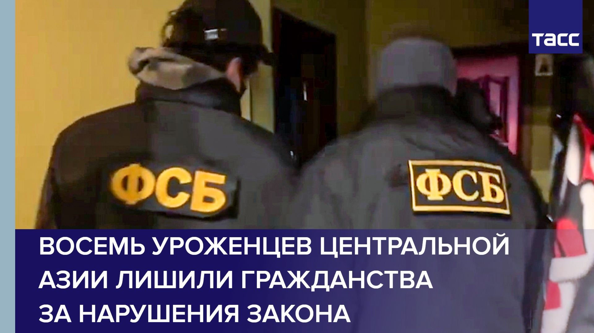 В РФ восемь уроженцев Центральной Азии лишили гражданства за нарушения закона