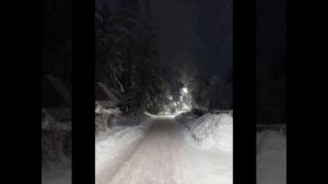 Из жизни Губби 1 серия 1 сезон